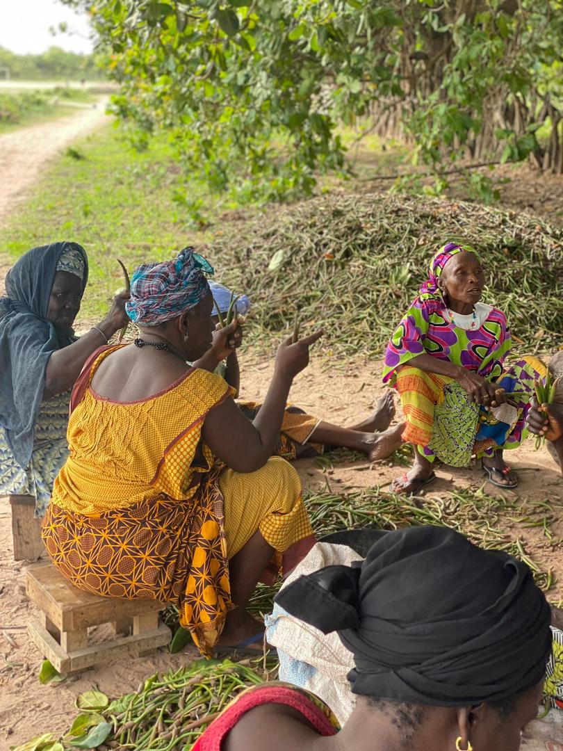 Femmes travaillant ensemble pour la reforestation
