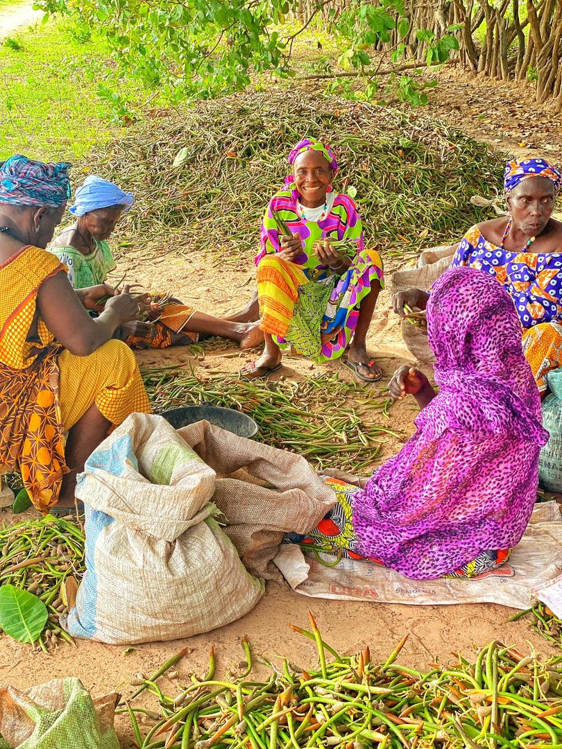 Atelier communautaire sous les arbres